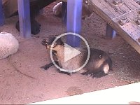 Clip 01 25